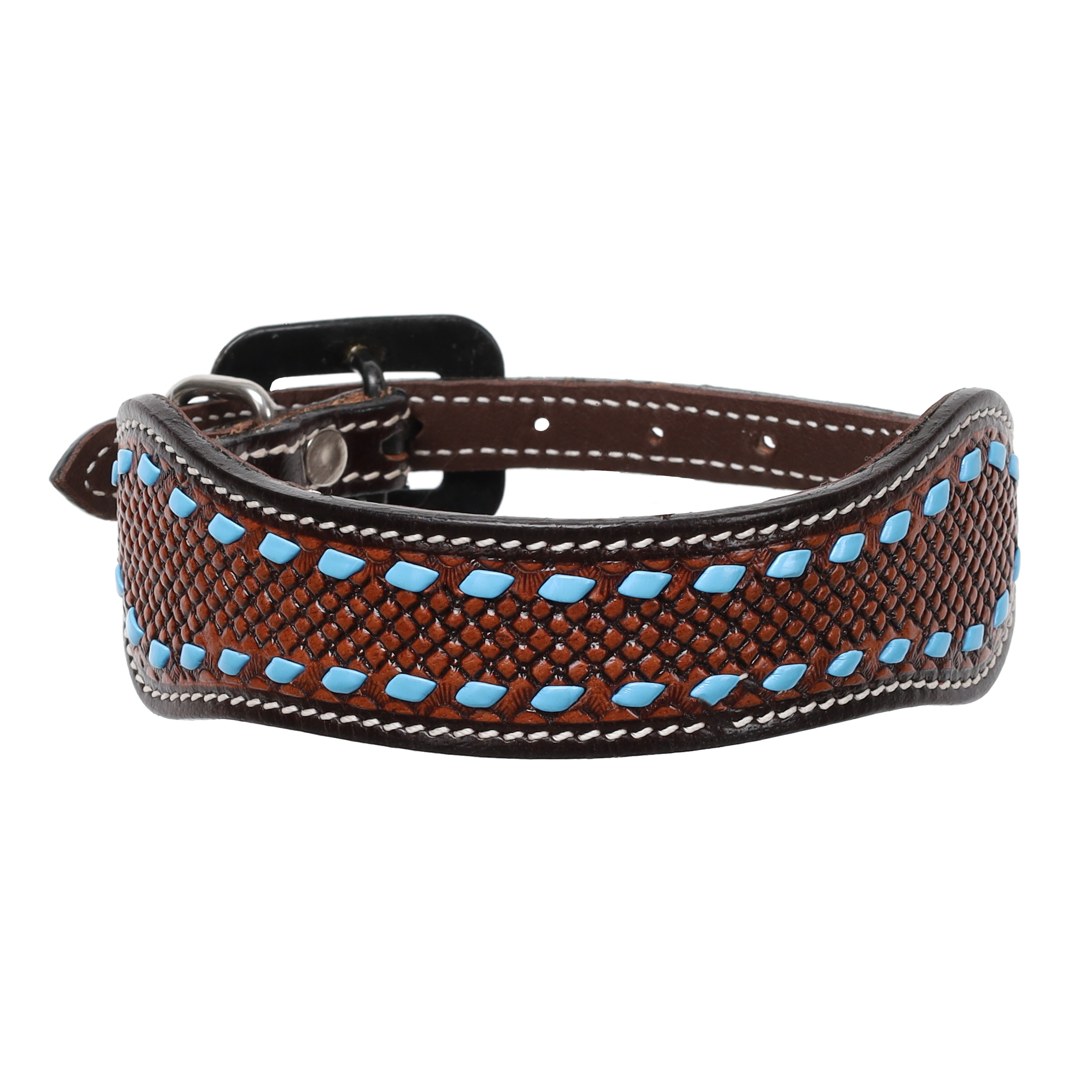 Dog Accessories